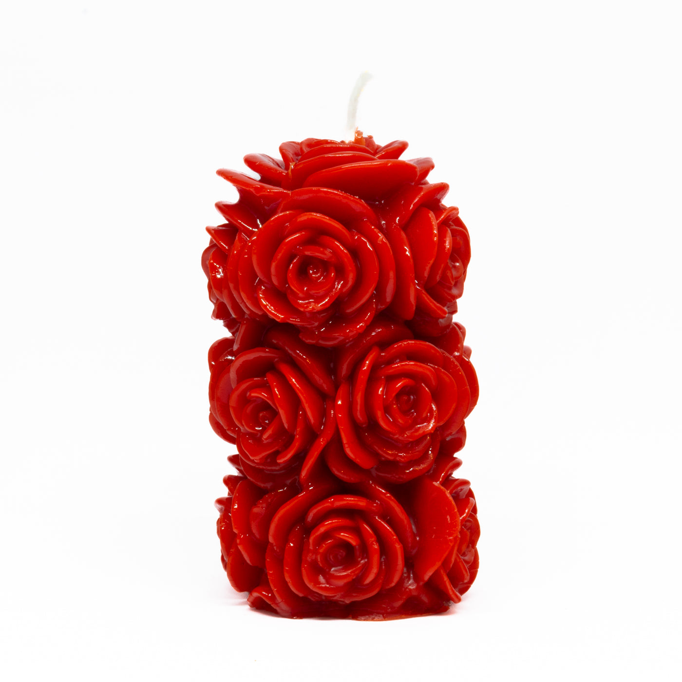 Blühende Rose